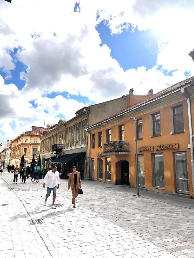 Stylish Apartment In The Heart Of Kaunas Old Town エクステリア 写真